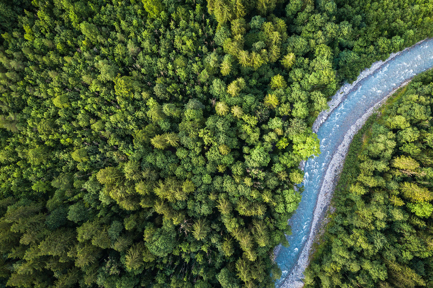 3. SDG "Nachhaltige Konsum- und Produktionsweisen" und "Landökosysteme schützen"