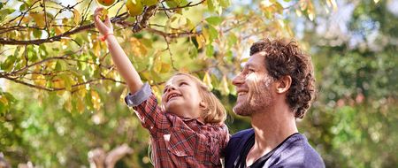 nachhaltige Kapitalanlage | Vater hält Tochter im Arm, die freudig einen Apfel vom Baum pflückt